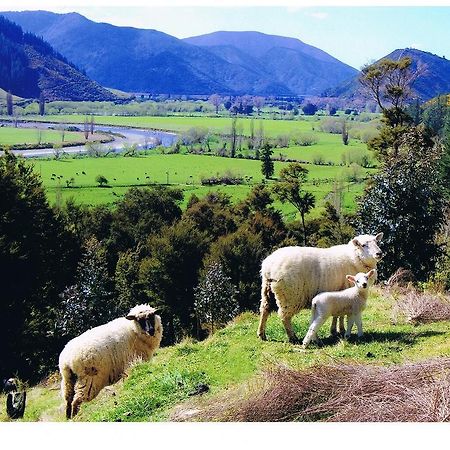 Pelorus Heights Daire Havelock Dış mekan fotoğraf